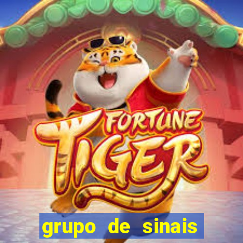 grupo de sinais fortune rabbit